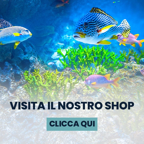Seguici nel Club TrovaWeb