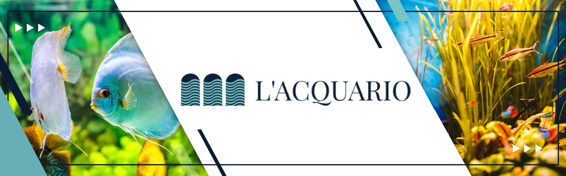 Logo negozio Acquario Messina